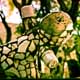 Nek Chand Rock Garden. Chandigargh, Punjab, India.